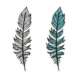 Doodling hand drawn amazing feathers with patterns