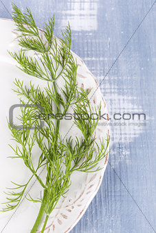 Fresh dill on vintage plate.