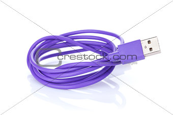 Purple computer cable