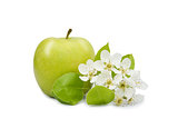 apple with flower closeup