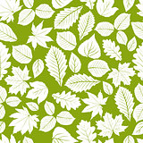 Different leaves seamless pattern, vector natural endless backgr