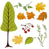 vector set of tree and leaves
