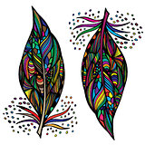 Decorative feathers