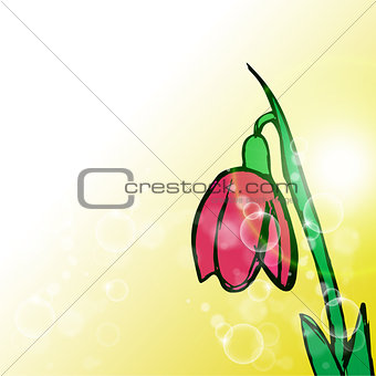 Flower on yellow background with rays