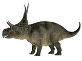 Diabloceratops over White
