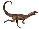 Dilophosaurus Profile