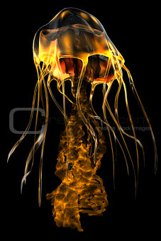 Glow Gold Jellyfish