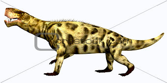 Inostrancevia Permian Reptile