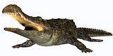 Sarcosuchus Reptile