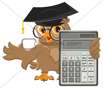 Owl teacher holding calculator