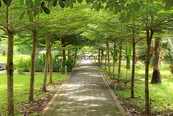 Stone path into garden