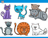cats set cartoon illustration