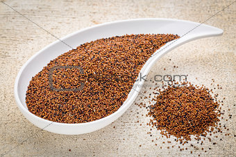 kaniwa grain