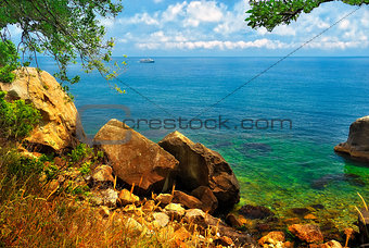 Picturesque seashore with a ship on the horizon