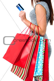 Fashionable woman, shopping concept
