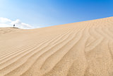 Canary islands, Maspalomas. Spain. Sand dunes. 