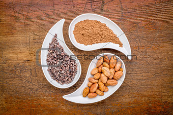 cacao beans, nibs and powder 