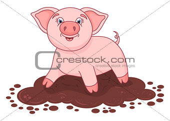 Vector illustration of cute pig in a puddle