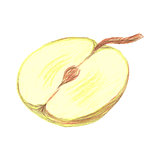 Sketch half of green apple drawn by colored pencils