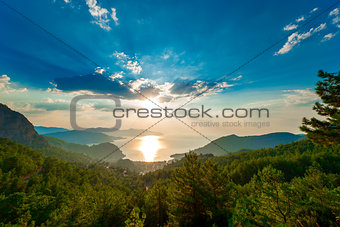 pine trees in the mountains and the rising sun over the sea