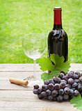 Red wine glass and bottle with bunch of grapes