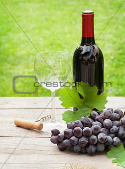 Red wine glass and bottle with bunch of grapes
