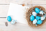 Easter background with blue and white eggs in nest and greeting 