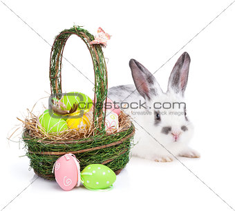 Easter eggs basket and rabbit