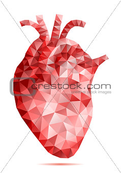 abstract low poly human heart, vector
