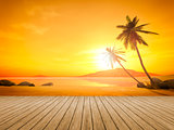 sunset palm tree