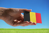 Small Belgian flag 