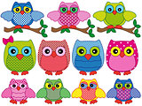 Set of eleven ornamental cartoon owls