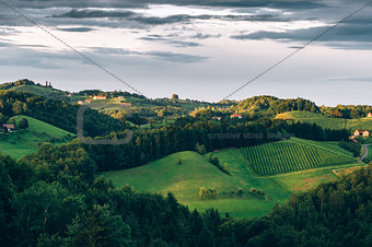 Hills of the Southern Styria Wine Trail