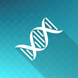 DNA molecule icon