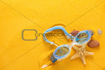 Blue swimming goggles.