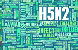 H5N2