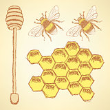 Sketch honey cells, stick and bee in vintage style