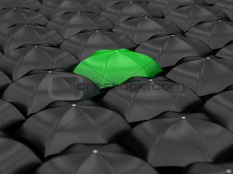unique green umbrella 