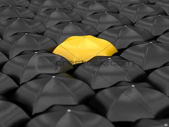 unique yellow umbrella 
