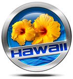 Hawaii - Metal Icon with Hibiscus
