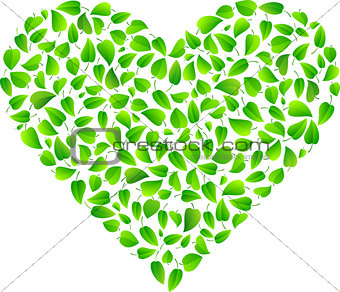 Heart made of fresh green leaves