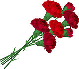 Bunch with red carnations