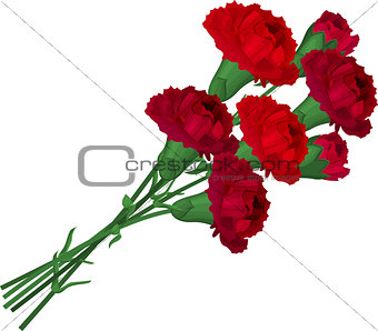 Bunch with red carnations