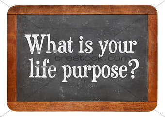 What is your life purpose ?