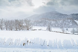 Snow fence and Caucasus Mountains
