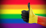 Positive attitude of Belgium for LGBT community