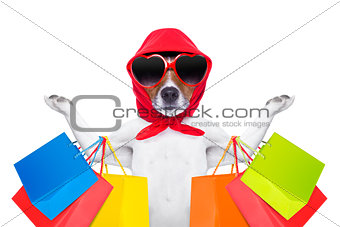 shopping dog 