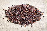 black quinoa grain