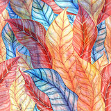 multicolored pattern of leaves