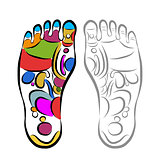 Foot massage reflexology, sketch for your design